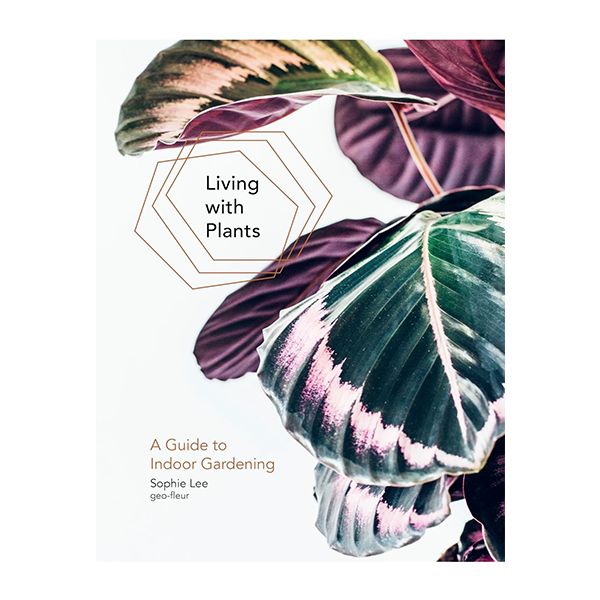 Living with Plants: A Guide to Indoor Gardening