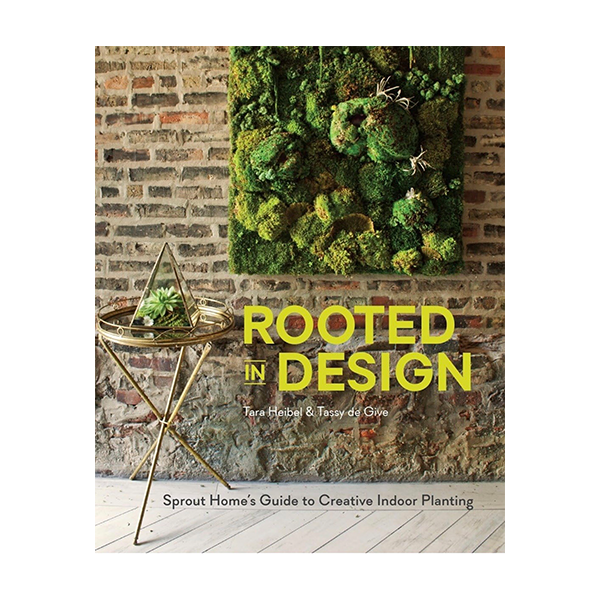 Rooted in Design: Sprout Home’s Guide to Creative Indoor Planting